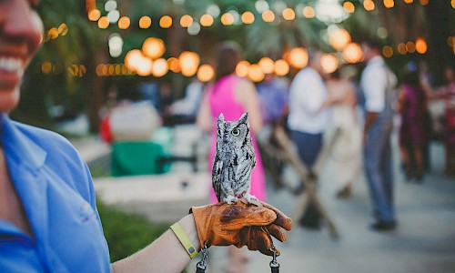 Animal encounters bring smiles to your event.