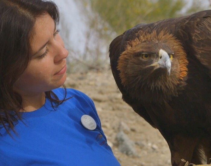 Get up close at The Living Desert Zoo and Gardens. Click for more details.