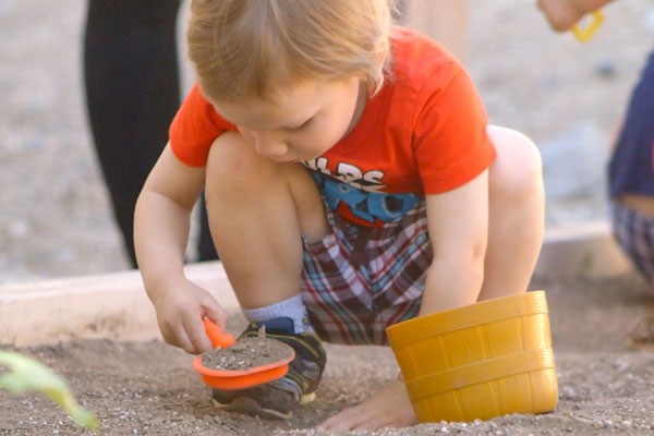 Visit Gecko Gulch at the Living Desert Zoo and Gardens. Click for more details.