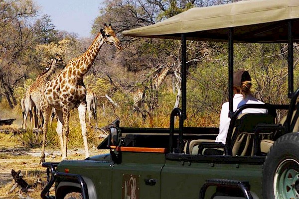 The Travel Club at The Living Desert Zoo and Gardens. Click for more details.