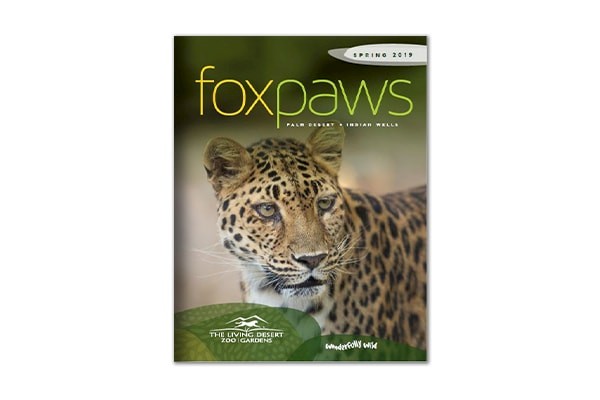 Foxpaws | Spring 2019