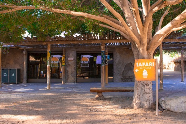 Safari Soft Serve at The Living Desert Zoo and Gardens