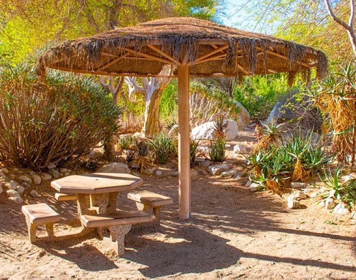 Picnic Areas at The Living Desert