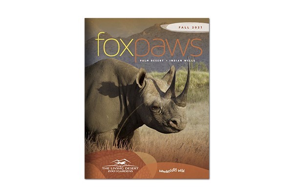 Foxpaws Magazine Summer 2021